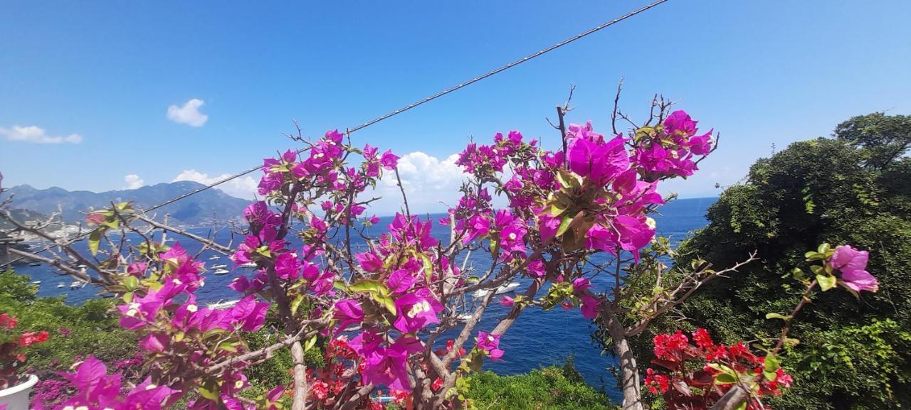 Villa Gianna Amalfi Coast Conca dei Marini Bagian luar foto