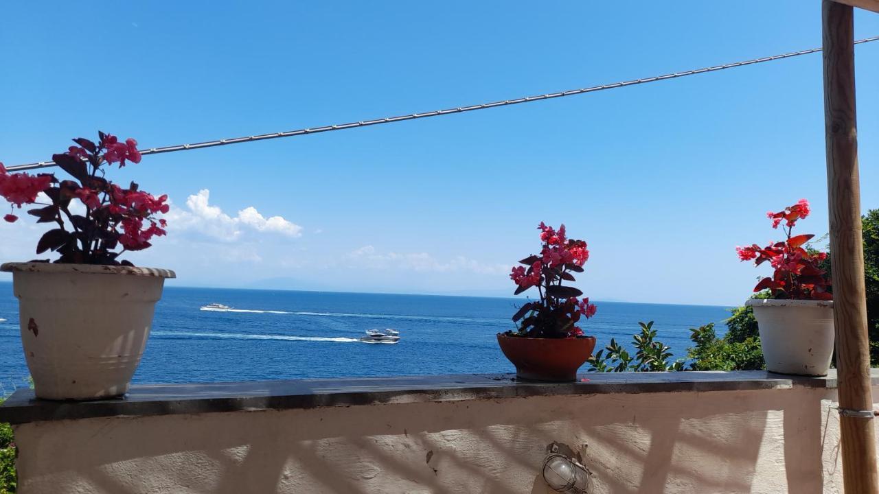 Villa Gianna Amalfi Coast Conca dei Marini Bagian luar foto